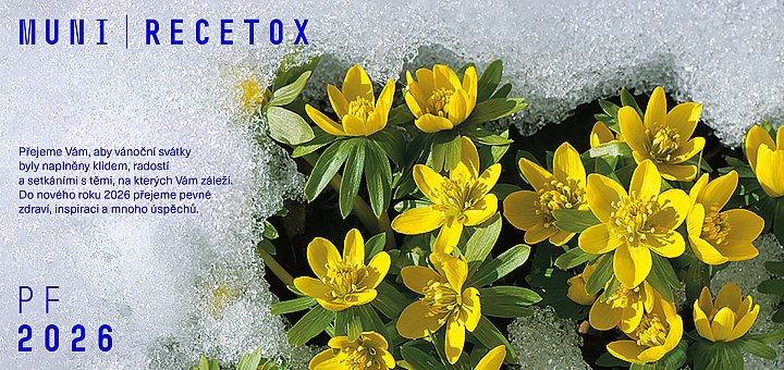 Děkujeme za spolupráci v roce 2025 a přejeme krásný a úspěšný nový rok 2026